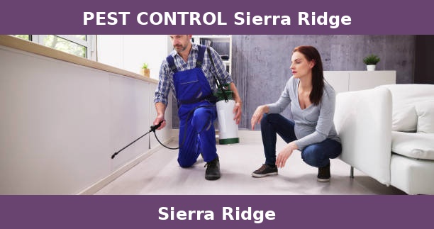 PEST CONTROL Sierra Ridge